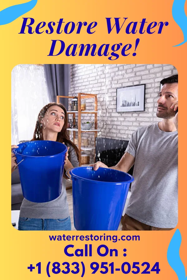 water restoration Master Water Repair Contractors Shenandoah Shores