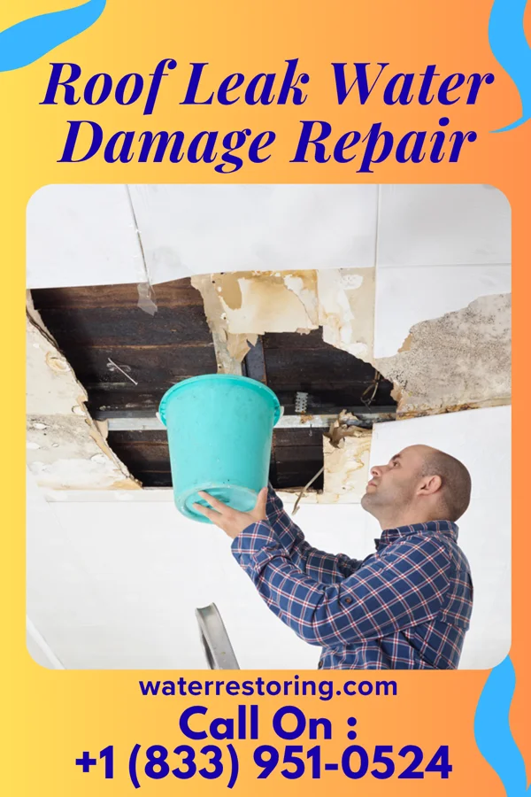 Roof Leak Water Damage Repair in Shenandoah Shores, VA