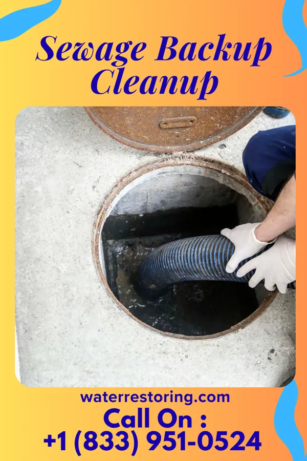 Sewage Backup Cleanup in Shenandoah Shores, VA