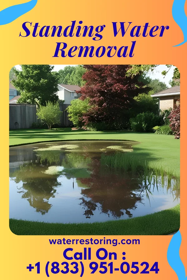 Standing Water Removal in Shenandoah Shores, VA